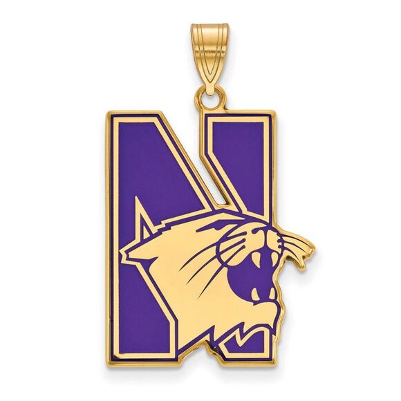 14k Gold Plated Silver Northwestern U. XL Enamel Pendant
